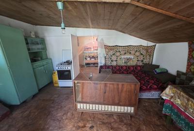 Gospodarie de vanzare in Giulvaz, judetul Timis - 12