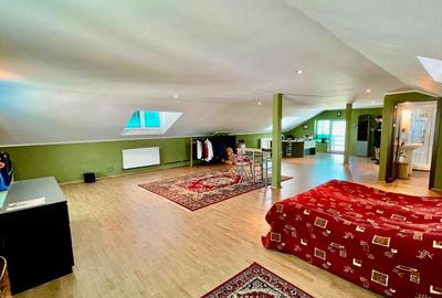 Proprietate Exceptionala cu Potential Dublu in Valea Ursului, Arges - 1