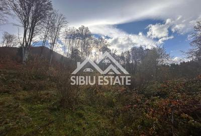 Oportunitate de investiție – Teren pentru hotel / pensiune pe Valea Avrigului - 8