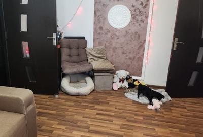 Apartament cu 3 camere semidecomandat în Doamna Ghica