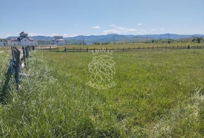 Teren 700 mp cu utilitati-panoramic-Livezile - 2