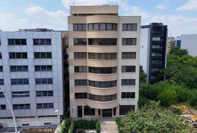 Birou, 435 mp în Grozăvești