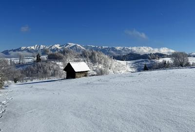 Teren satul Sirnea, intravilan, deschidere 120 m la drum asfaltat, - 1