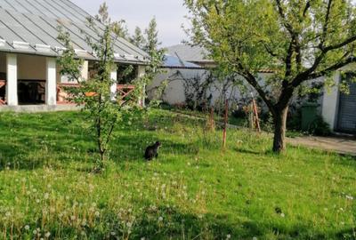 Casa 3 camere 100 mp | teren 937 mp | Vladeni central | mansarda |mobilat utilat - 4