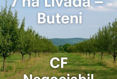 Teren 7 ha. livada Buteni, Jud. Arad CF, acces drum. - 1