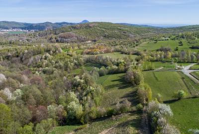 0% Comision | Teren intravilan Zărnești (Tohanița) | Vedere superbă - 5