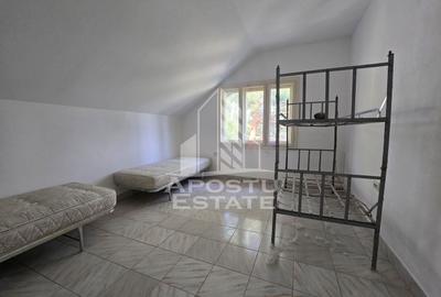 Casa de vanzare, potential pensiune, pe malul Timisului,Sag,comision 0 - 23