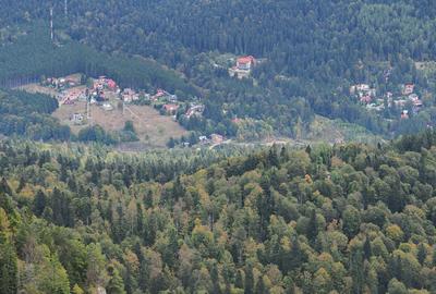 TEREN PENTRU DEZVOLTARE SINAIA-CUMPATU Str. Zamora-9.801 mp-Comision 0% - 29