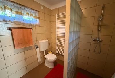 Casă individuală I 7 camere I 175 mp + 200 mp teren I Moldovenești - 7