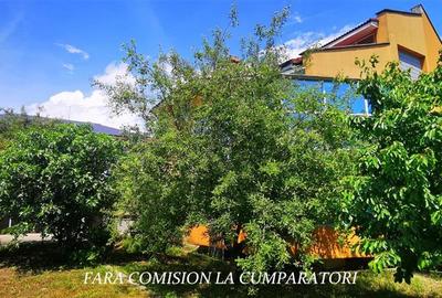 CACIULATA, VILA 736 MP, TEREN 1200 MP - 31