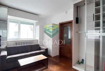 Casa cu 5 camere Nordului-Herastrau - 11