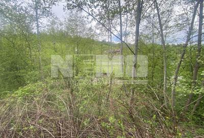 Teren Intravilan | Câmpulung Moldovenesc | 31ARI - 9