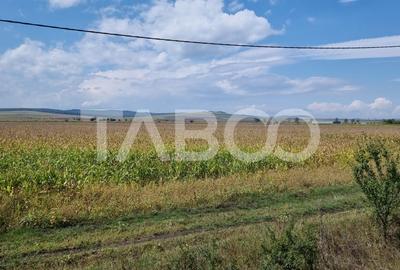 Comision 0%  Oportunitate investitie 28000 mp in Sura Mica Sibiu - 5