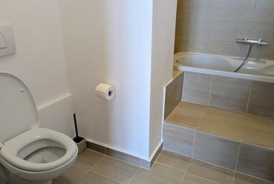 Apartament exceptional de inchiriat in Palatul Juno Klein - 11