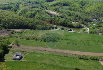 Proprietate de vanzare langa liziera pădurii Coas - 9