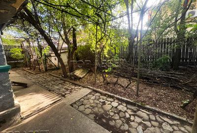 Teren Construcții intravilan de 239 mp, în Central