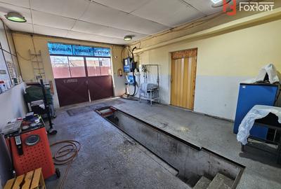 Oportunitate afacere: Spatiu industrial + Casa de locuit - Bogdanestilor - 24