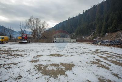 De vanzare| Hala industriala + teren, post trafo propriu, Borca, Neamt - 11