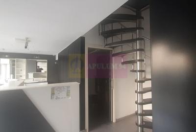 Spatiu Comercial Stradal Șoseaua Colentina zona Teiul Doamnei Suveica - 33