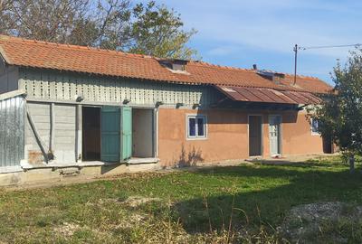 Anunț Vânzare Proprietate Rurală – sat Bușca, comuna Mihăiești, județul Olt - 5