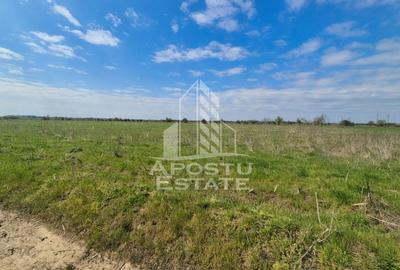 Teren intravilan de vânzare – Sânnicolau Mare, județul Timiș - 3