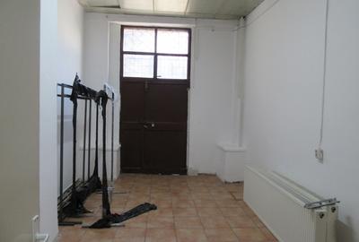 Inchiriere Spatiu Comercial Teiul Doamnei - Stradal - 105 mp - 33
