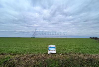 Teren Construcții intravilan de 9125 mp, în Leș