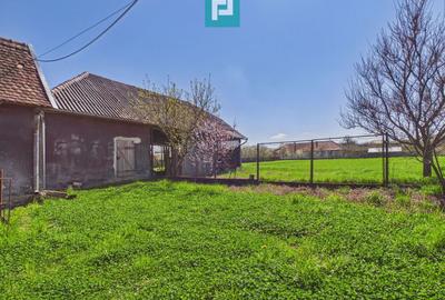 Casă solidă cu 5 camere in localitatea Almaș, Arad - 22