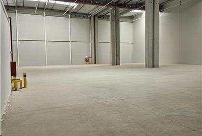 Spatiu Industrial - 1800 mp - Logistica - Productie - Depozitare - Distributie - 2