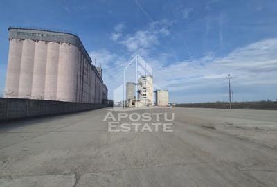 PLATFORMĂ INDUSTRIALĂ 3HA SILOZURI 50M ACCES CFR SÂNNICOLAU MARE - 3