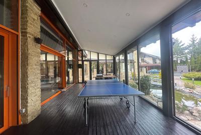 Pensiune deosebită în Bran || priveliște panoramică, facilitati premium - 27