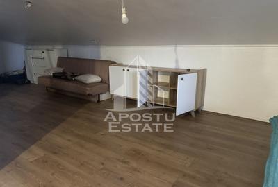Casa individuala in vatra satului Ghiroda ,teren 1307 mp utili - 6