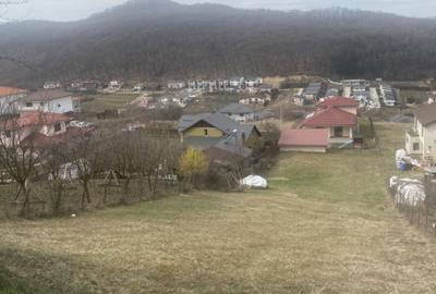 Teren Construcții intravilan de 1142 mp, în Florești