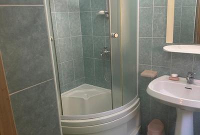 Apartament 1 cameră, de închiriat, în cartier Grigorescu, la casă, strada Tebei, - 3