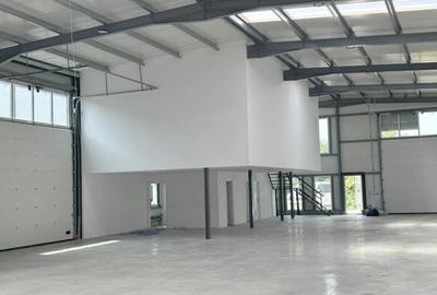 Hala noua ideal depozit/productie - 5