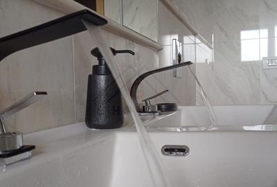 Apartament lux cu gradina proprie, Ferventia intre Lidl si padure. - 19