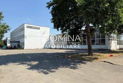 Vanzare complex industrial multifunctional – pozitie strategica, Targu Jiu - 10