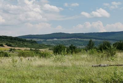 BUCIUM , 6 KM DIN IASI , DESCHIDERE DUBLA  , P+2,lac natural aproape - 12