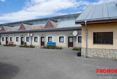 Pensiune + 4,7 Ha teren E85 Roman - Neamț - Afacere la cheie - 6