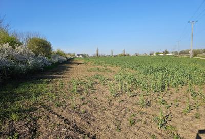 10.100mp TEREN CONSTRUCȚII INTRAVILAN POTIGRAFU, DESCHIDERE 31m direct la DN1 - 9