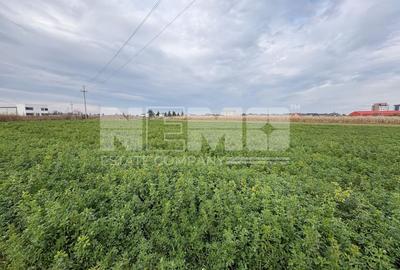 Teren de vânzare | 67 ari | Intravilan | Rădăuți - 4