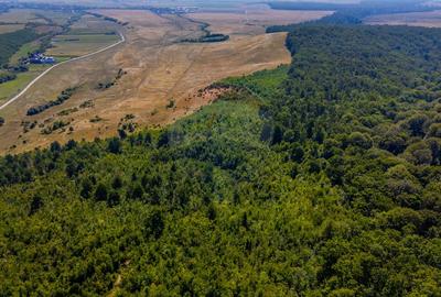 Teren 6,000mp Crizbav / Strada principala - 5