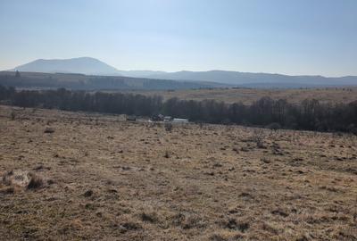 Teren Construcții intravilan de 500 mp, în Vlădeni