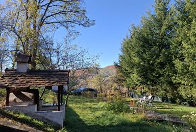 Vila Bughea de Jos - Campulung - 16