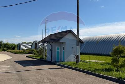 4 HALE INDUSTRIALE INDIVIDUALE SUPRAFATA TOTALA 1.407 mp, Acces DN 1 - 14