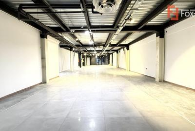 Spațiu comercial, 560 mp în Lipovei