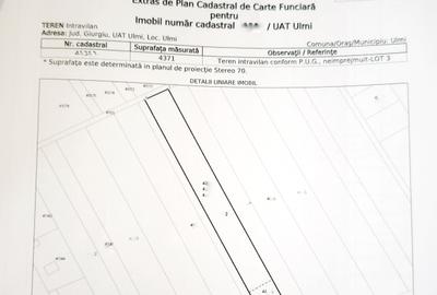 Teren intravilan case 10.000 mp, Str Sportului, Ulmi - 10