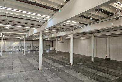 Spatii Industriale - 10000 mp - Logistica - Productie - Depozitare - Distributie - 1