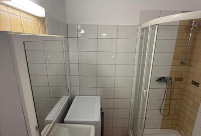 Apartament de lux de închiriat în Ștrand, lângă Parcul Sub Arini - 12