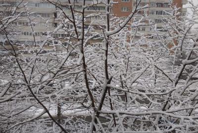 Vand apartament 3 Camere, Decomandate, Baie cu geam, 64m2 , Mazepa - 8